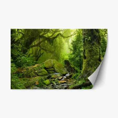 Sticker repositionnable clairière verte enchantée – Wallnifity®