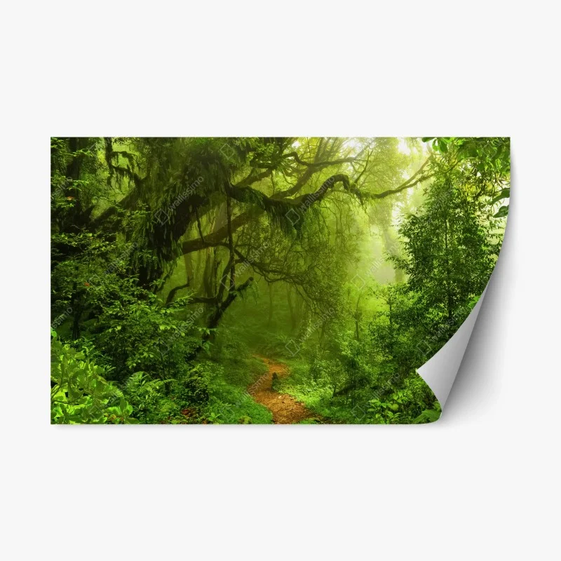 Nature – Wallnifity®