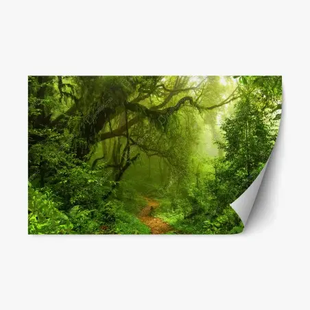 Sticker repositionnable sentier enchanté dans la forêt tropicale – Wallnifity®