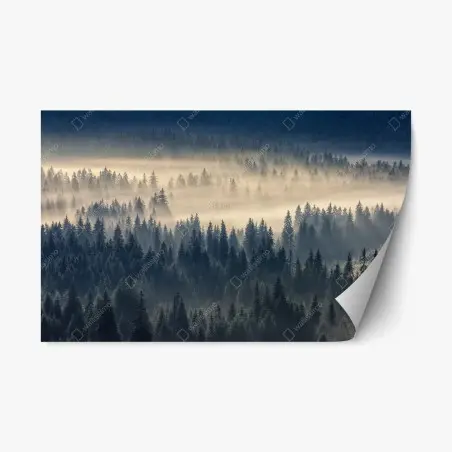 Sticker repositionnable brume matinale sur la vallée d'épicéas – Wallnifity®
