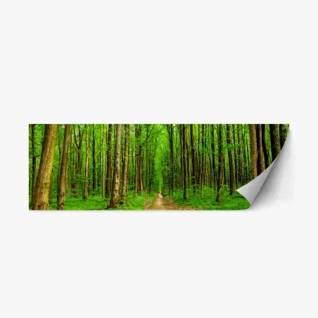 Sticker repositionnable forêt printanière au sentier lumineux – Wallnifity®