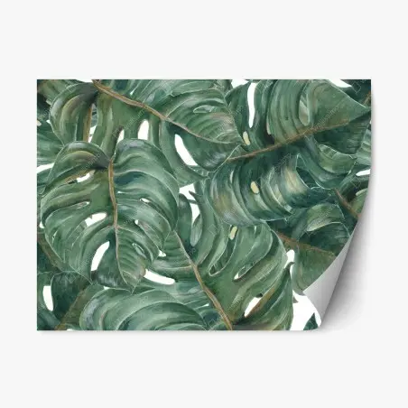 Sticker repositionnable motif feuilles de monstera tropicales – Wallnifity®