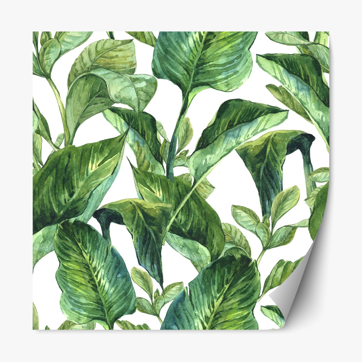 Sticker repositionnable motif de feuilles tropicales en aquarelle – Wallnifity®