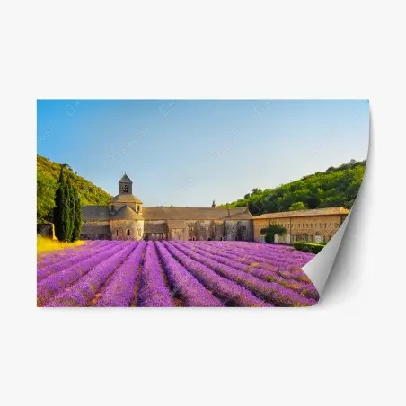 Sticker repositionnable coucher de lavande à l'Abbaye de Sénanque – Wallnifity®