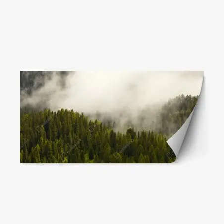Sticker repositionnable forêt de conifères dans la brume – Wallnifity®