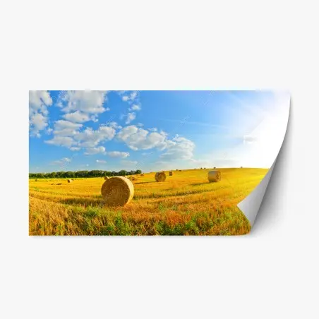 Sticker repositionnable champ doré de bottes de foin au soleil – Wallnifity®