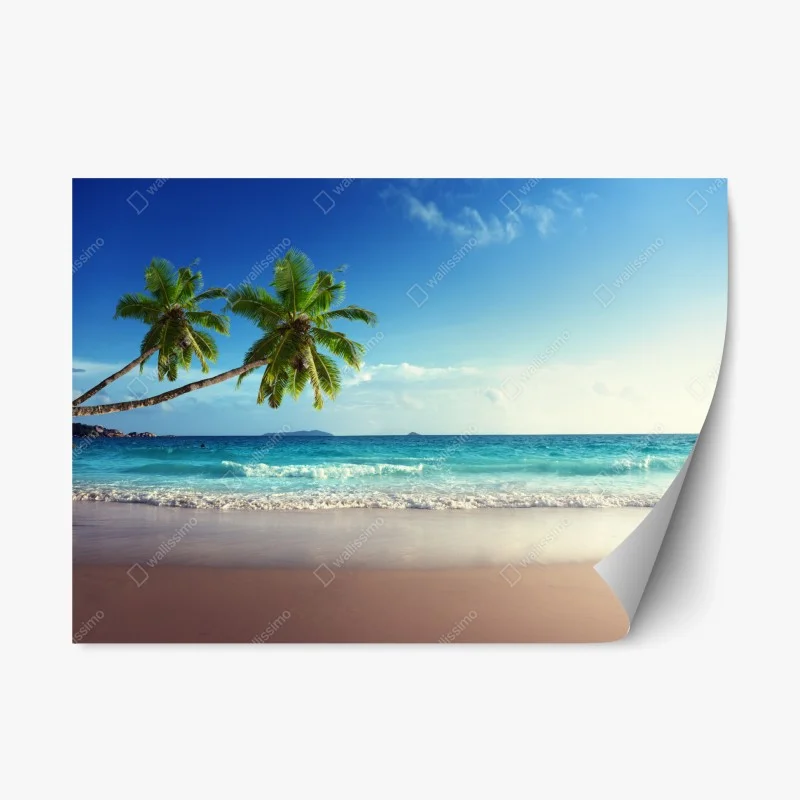 Stickers repositionnables – Wallnifity®
