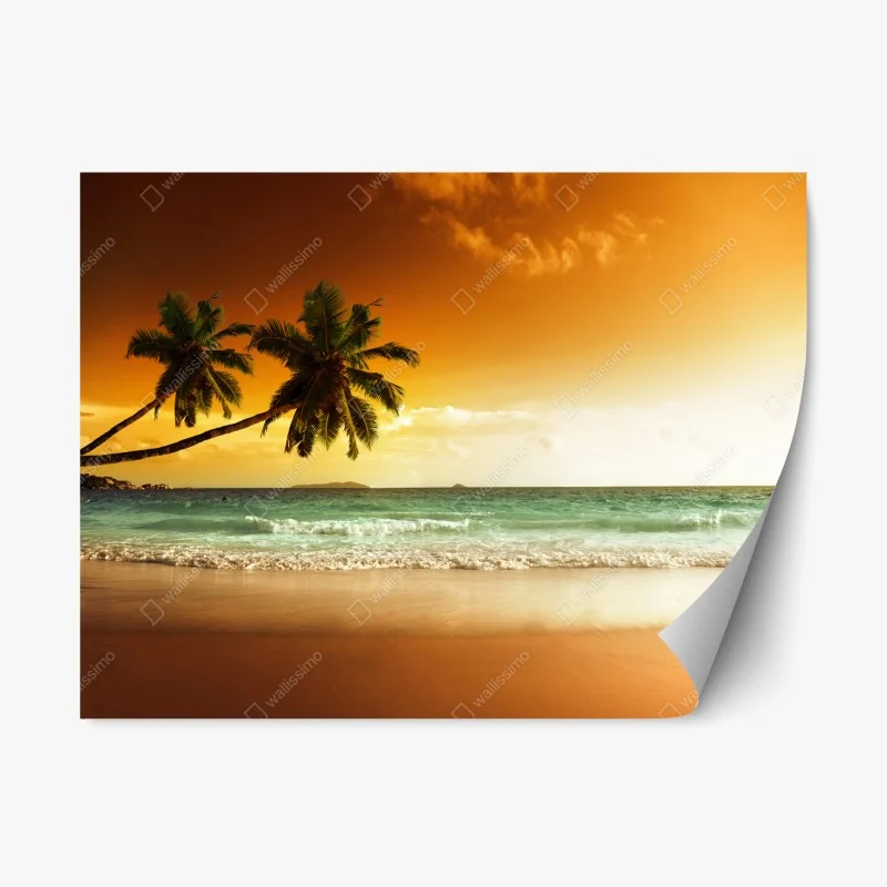 Stickers repositionnables – Wallnifity®