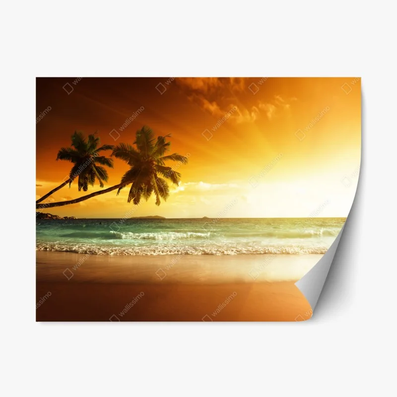Nature – Wallnifity®
