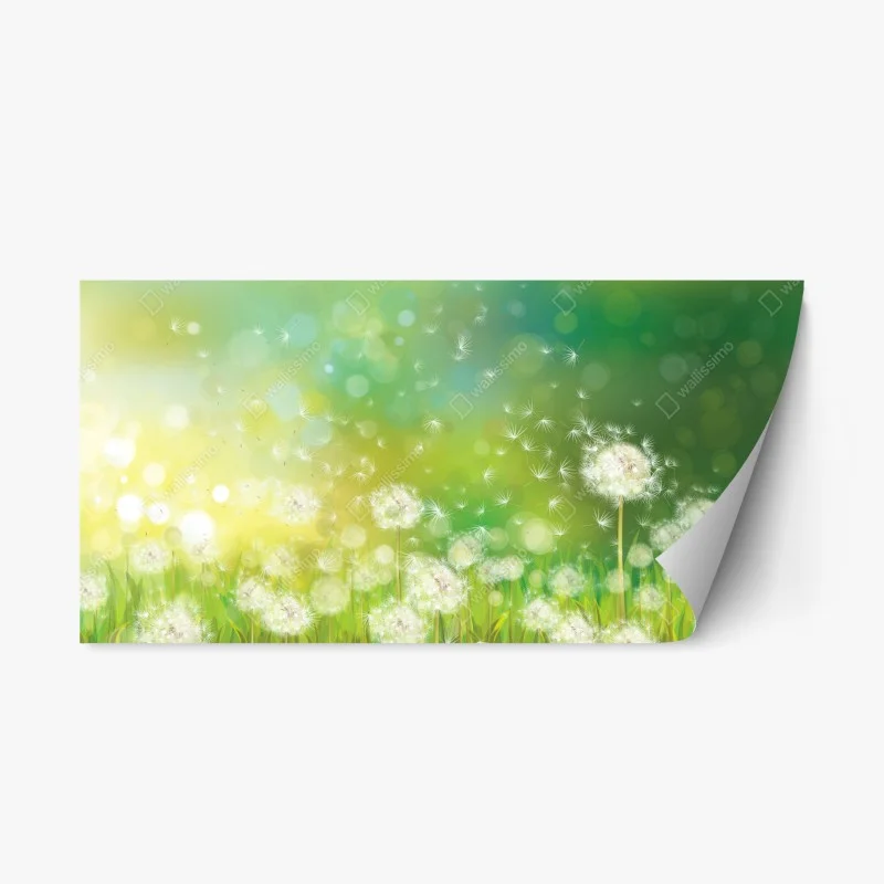 Fleurs et plantes – Wallnifity®