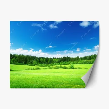 Sticker repositionnable prairie printanière au bord de la forêt – Wallnifity®