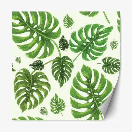 Sticker repositionnable motif tropical de feuilles de monstera – Wallnifity®