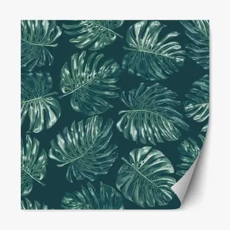 Sticker repositionnable motif feuilles de monstera tropicales – Wallnifity®
