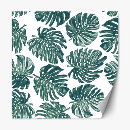Sticker repositionnable feuilles de monstera motif tropical élégant – Wallnifity®