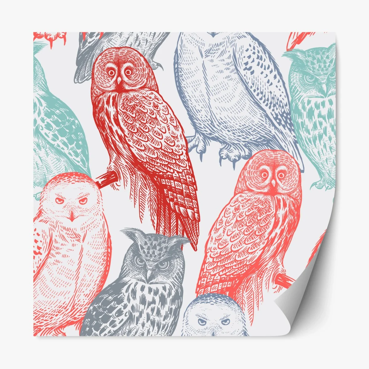 Sticker repositionnable motif hiboux style gravure coloré – Wallnifity® Sticker repositionnable motif hiboux style gravure coloré – Wallnifity®