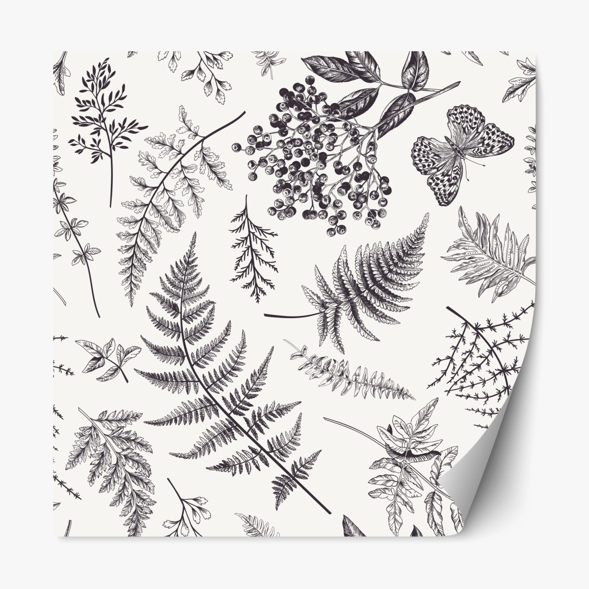 Sticker repositionnable motif botanique délicat en noir et blanc – Wallnifity®