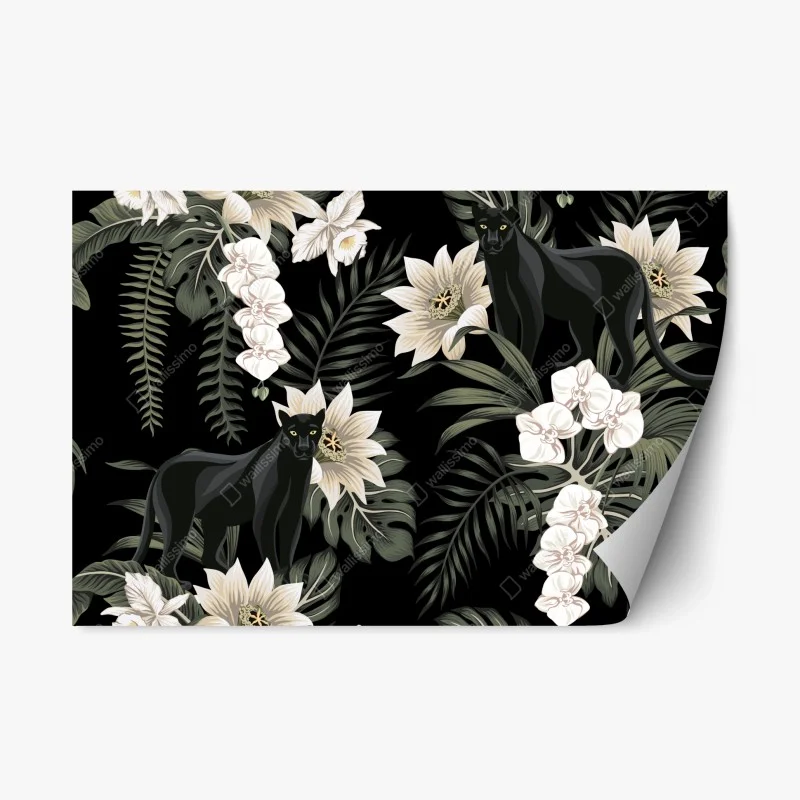 Animaux sauvages – Wallnifity®