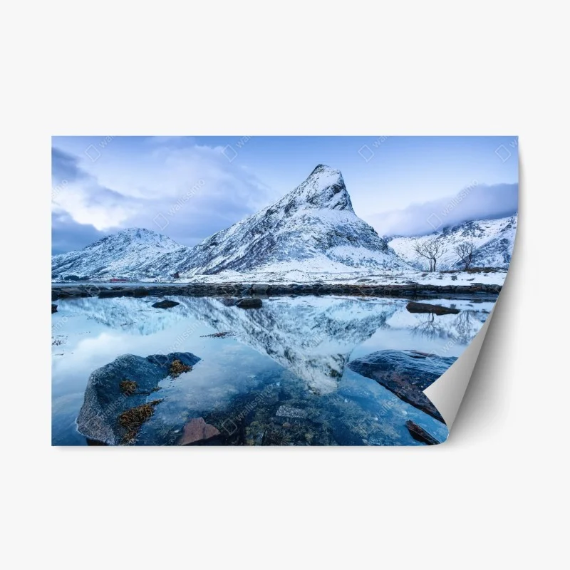 Nature – Wallnifity®