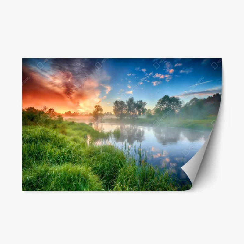 Nature – Wallnifity®