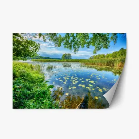 Sticker repositionnable paysage estival au bord du lac en Mazurie – Wallnifity®