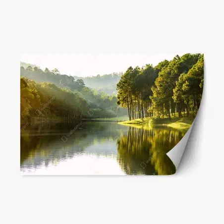 Sticker repositionnable reflet doré au bord du lac – Wallnifity®