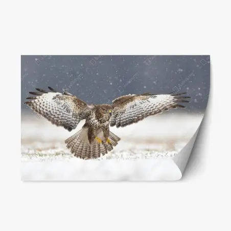 Sticker repositionnable buse variable en plein vol sur fond enneigé – Wallnifity®