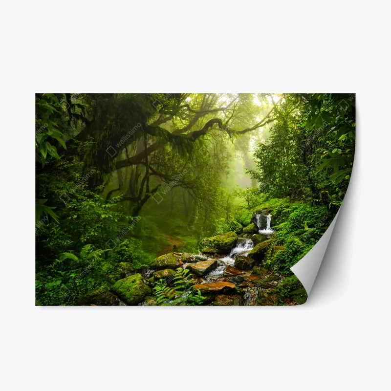 Nature – Wallnifity®