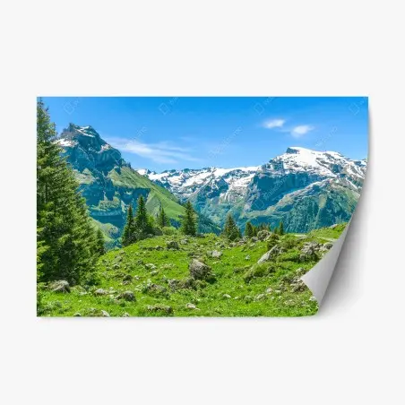 Sticker repositionnable panorama alpin d'Engelberg – Wallnifity®
