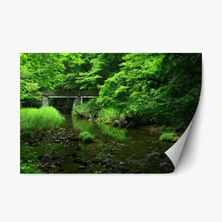 Sticker repositionnable paysage forestier verdoyant avec pont sur la rivière – Wallnifity®