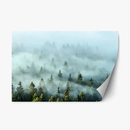 Sticker repositionnable brume matinale sur la forêt de sapins – Wallnifity®