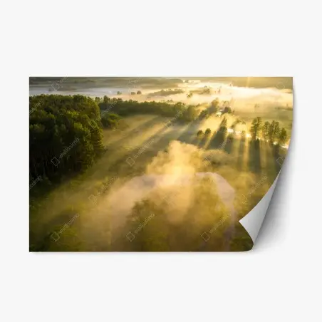 Sticker repositionnable rayons dorés sur prairie brumeuse – Wallnifity®