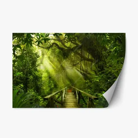 Sticker repositionnable chemin en forêt tropicale baigné de lumière – Wallnifity®