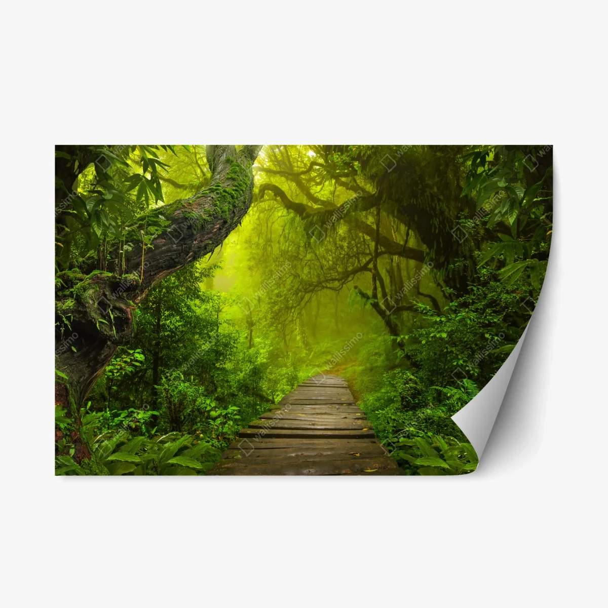 Sticker repositionnable sentier brumeux au cœur de la forêt – Wallnifity® Sticker repositionnable sentier brumeux au cœur de la forêt – Wallnifity®