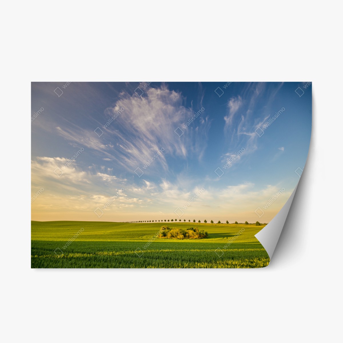 Sticker repositionnable alignement d'arbres sur champ printanier – Wallnifity®