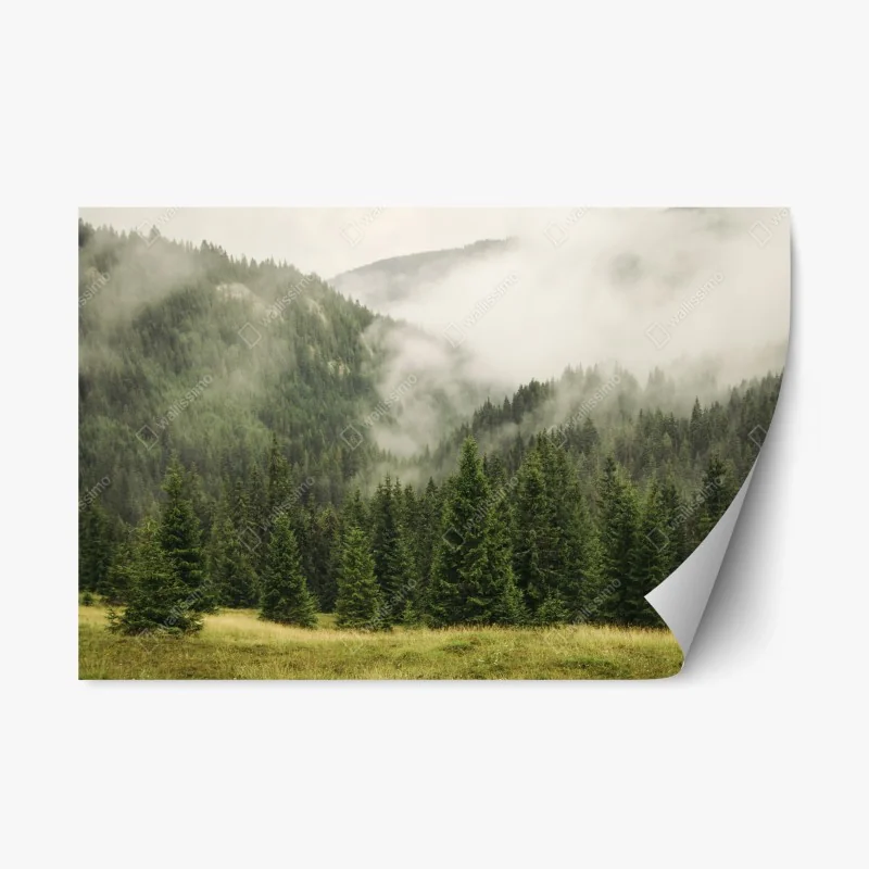 Nature – Wallnifity®