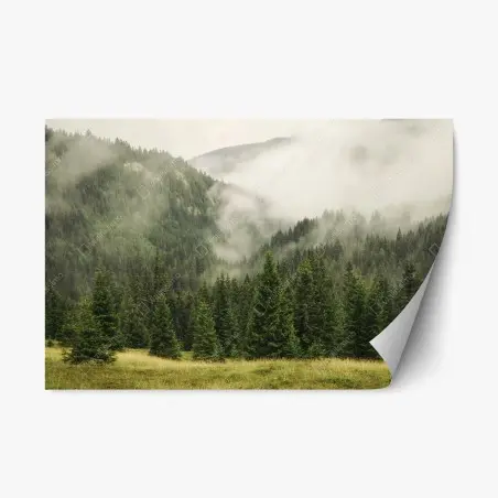 Sticker repositionnable brume matinale sur la forêt de sapins – Wallnifity®