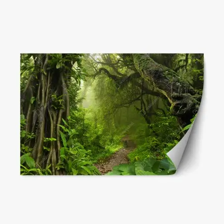 Sticker repositionnable chemin secret dans la forêt tropicale – Wallnifity®