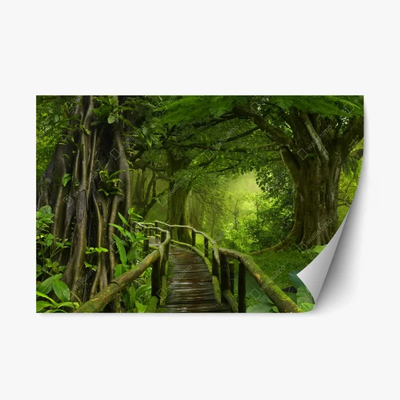 Jungle – Wallnifity®