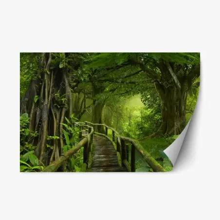 Sticker repositionnable promenade dans la jungle tropicale – Wallnifity®