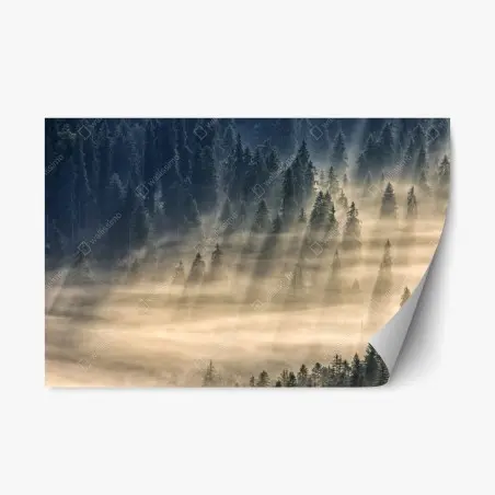Sticker repositionnable brume matinale sur la vallée de sapins – Wallnifity®