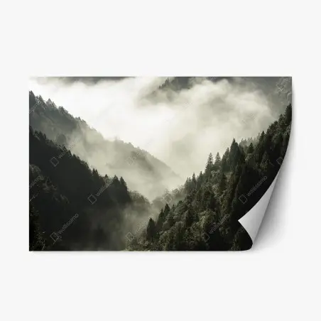 Sticker repositionnable brume sur la vallée boisée – Wallnifity®