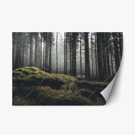 Sticker repositionnable forêt brumeuse aux rochers moussus – Wallnifity®