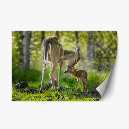 Sticker repositionnable tendresse d'une biche et de son faon en forêt – Wallnifity®
