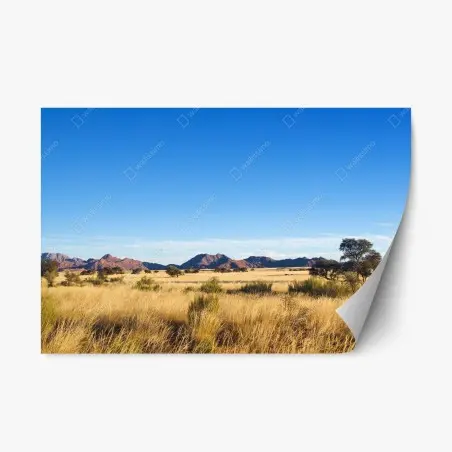 Sticker repositionnable plaine dorée sous ciel azur – Wallnifity®