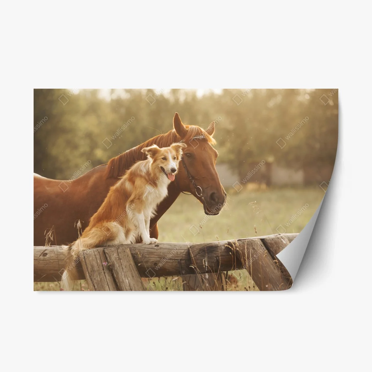 Sticker repositionnable complicité champêtre au coucher du soleil – Wallnifity® Sticker repositionnable complicité champêtre au coucher du soleil – Wallnifity®