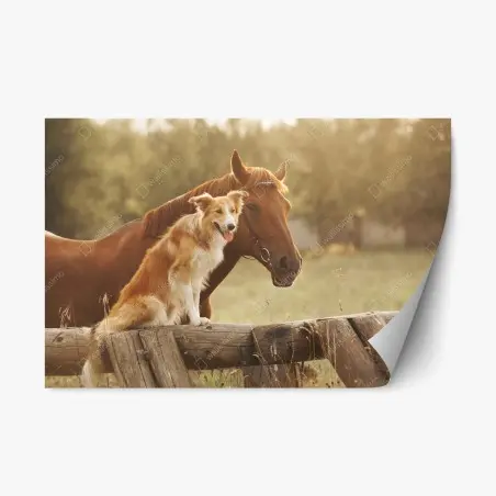 Sticker repositionnable complicité champêtre au coucher du soleil – Wallnifity®