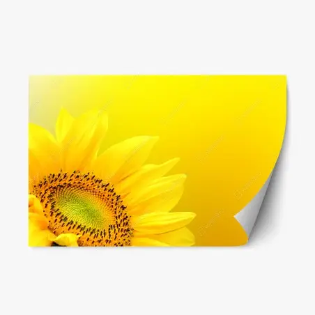 Sticker repositionnable tournesol éclatant sur fond jaune – Wallnifity®