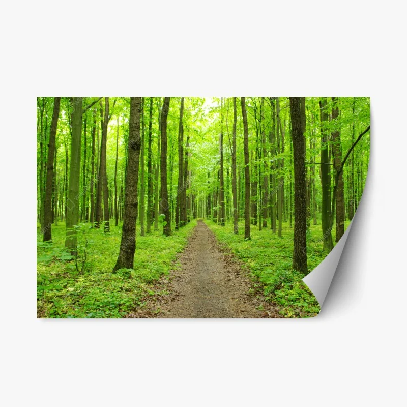 Nature – Wallnifity®