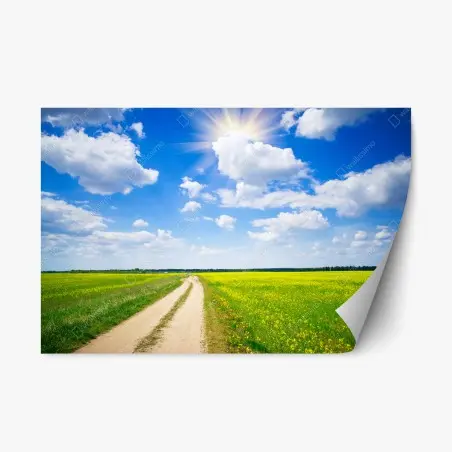 Sticker repositionnable horizon de colza sous un ciel lumineux – Wallnifity®