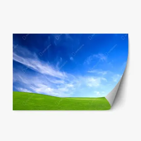 Sticker repositionnable prairie verdoyante sous ciel azur – Wallnifity®